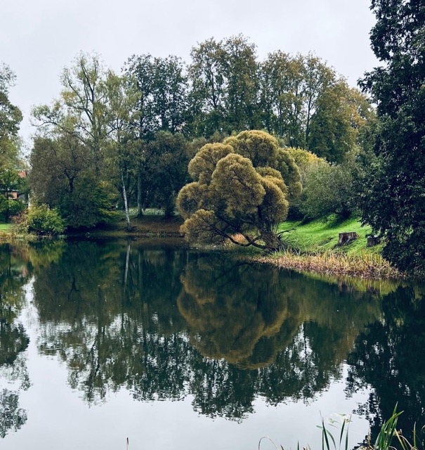 Dubinsky pond